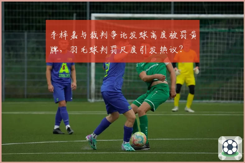 李梓嘉与裁判争论发球高度被罚黄牌,羽毛球判罚尺度引发热议?