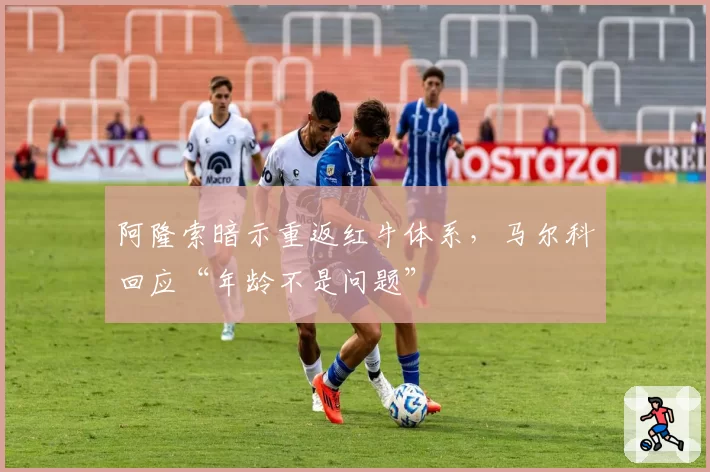 阿隆索暗示重返红牛体系，马尔科回应“年龄不是问题”