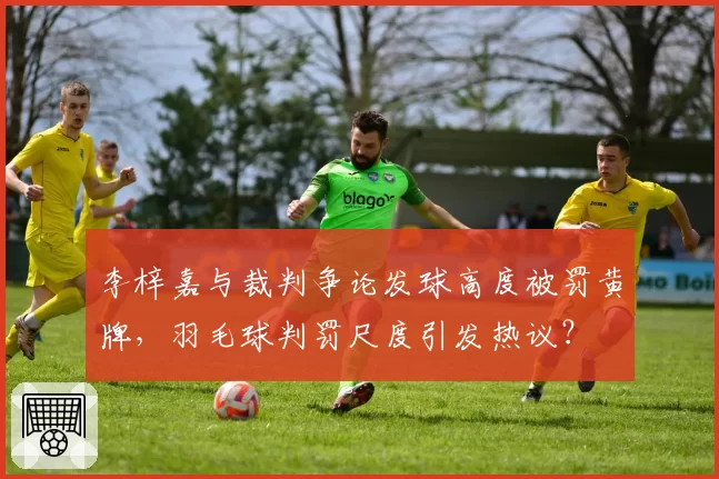 李梓嘉与裁判争论发球高度被罚黄牌,羽毛球判罚尺度引发热议?
